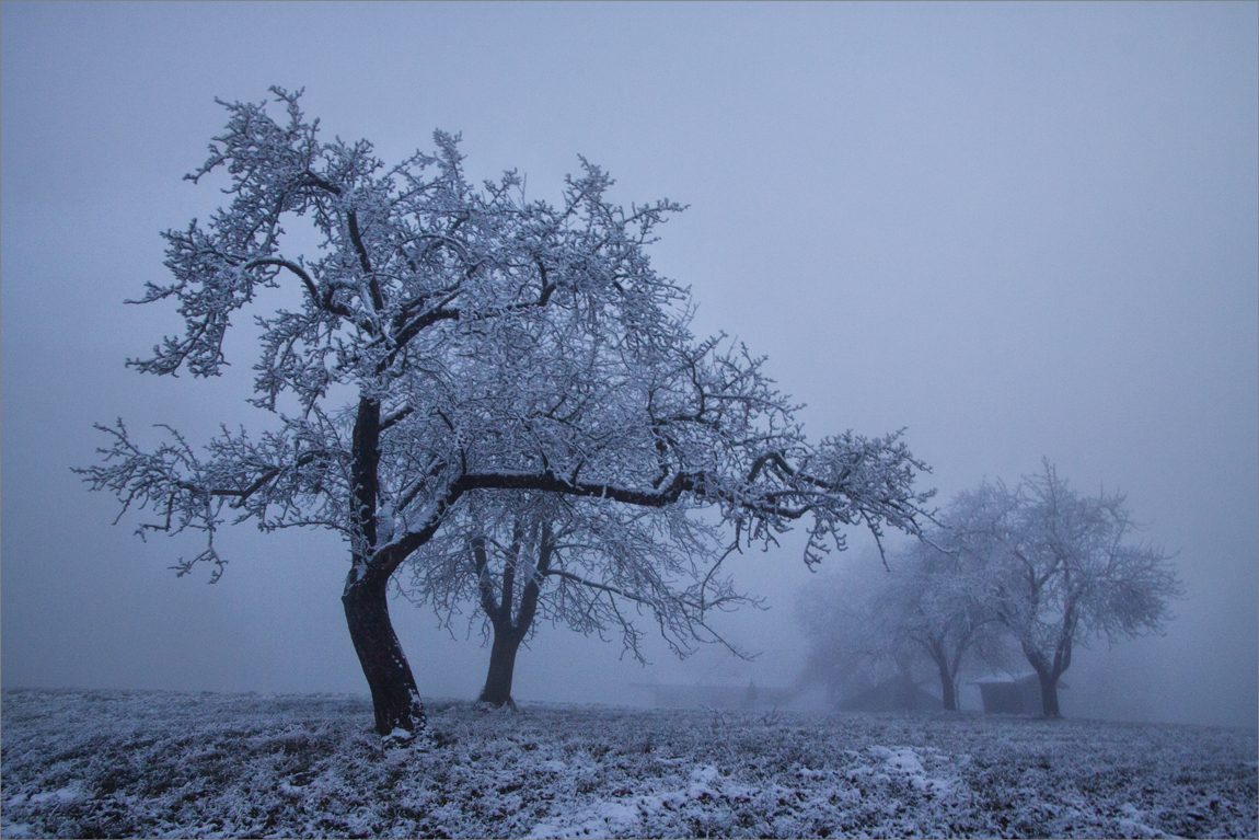 /// Nebel und Raureif ///