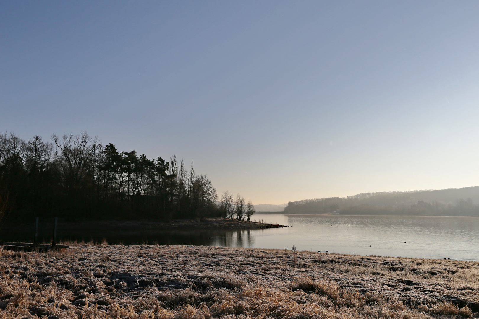 Nebel und Raureif am Möhnesee