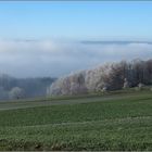 Nebel und Raureif über dem Reusstal