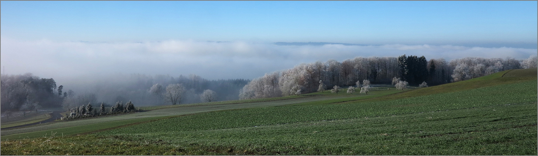 Nebel und Raureif über dem Reusstal