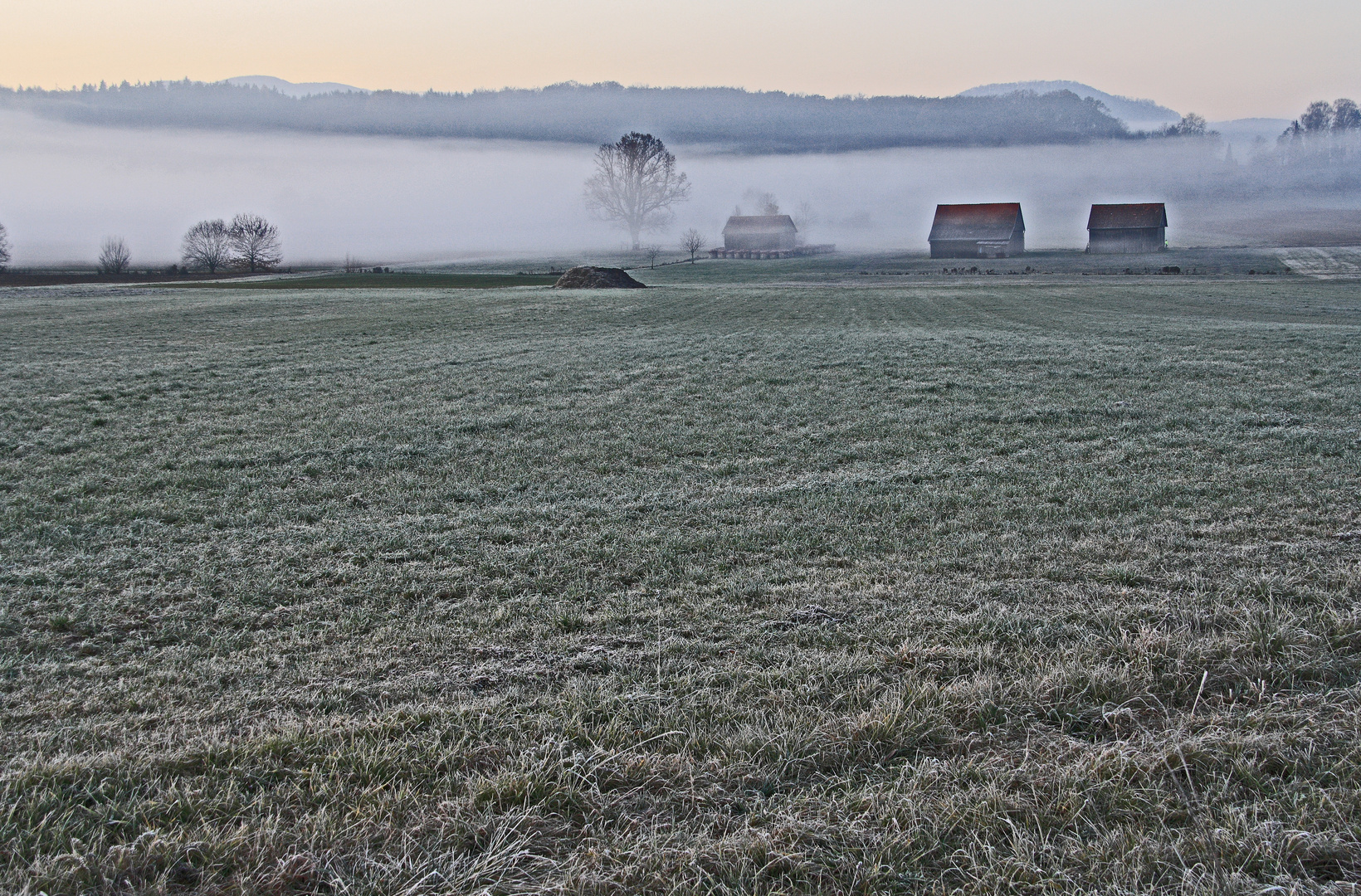 Nebel und Reif