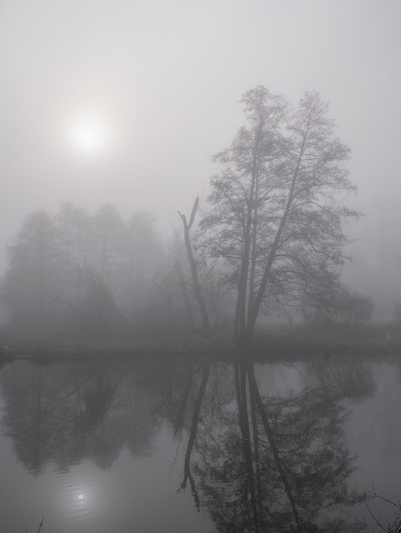 Nebel und Sahara Sand