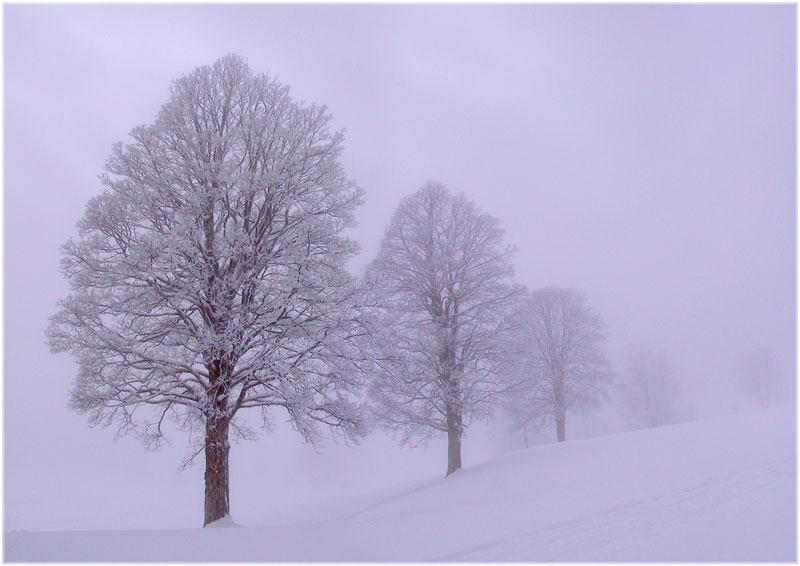 Nebel und Schnee