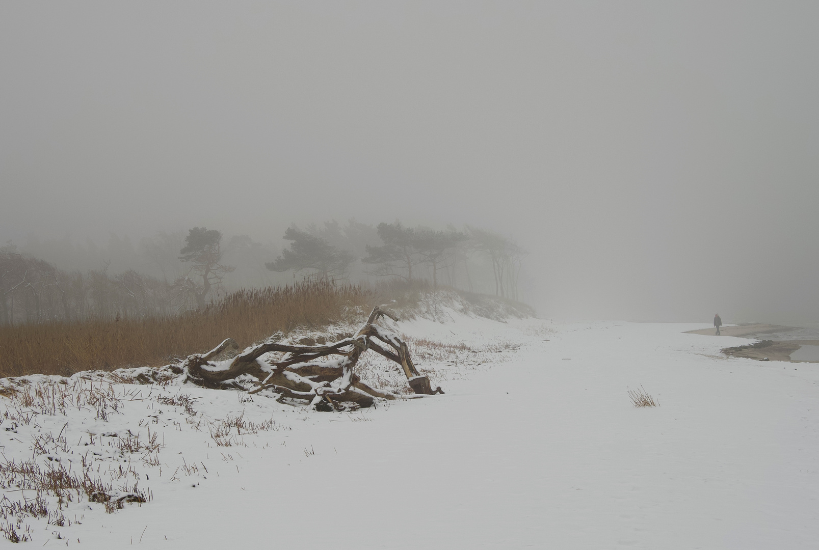 Nebel und Schnee 