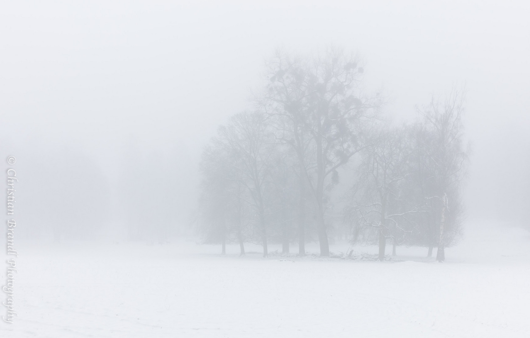 Nebel und Schnee