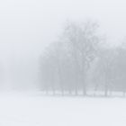 Nebel und Schnee