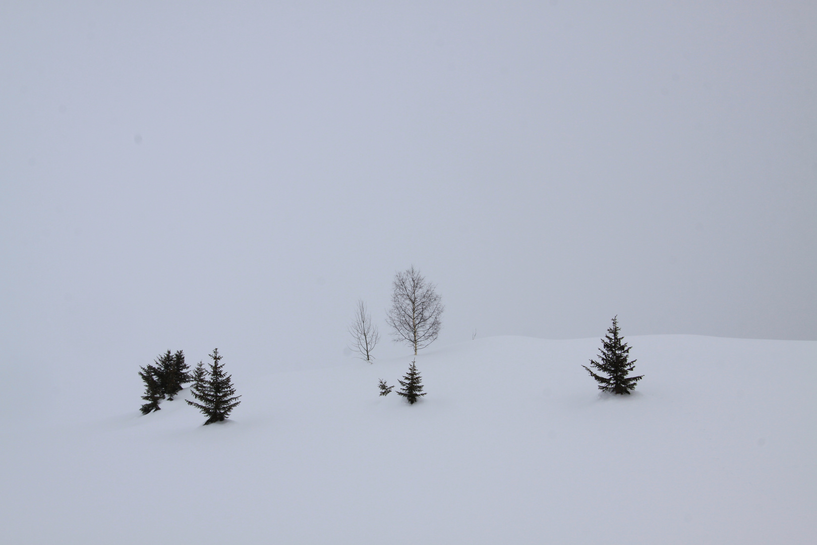 Nebel und Schnee