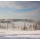 Nebel und Schnee