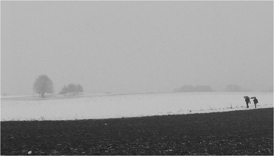 Nebel und Schnee