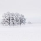 Nebel und Schnee