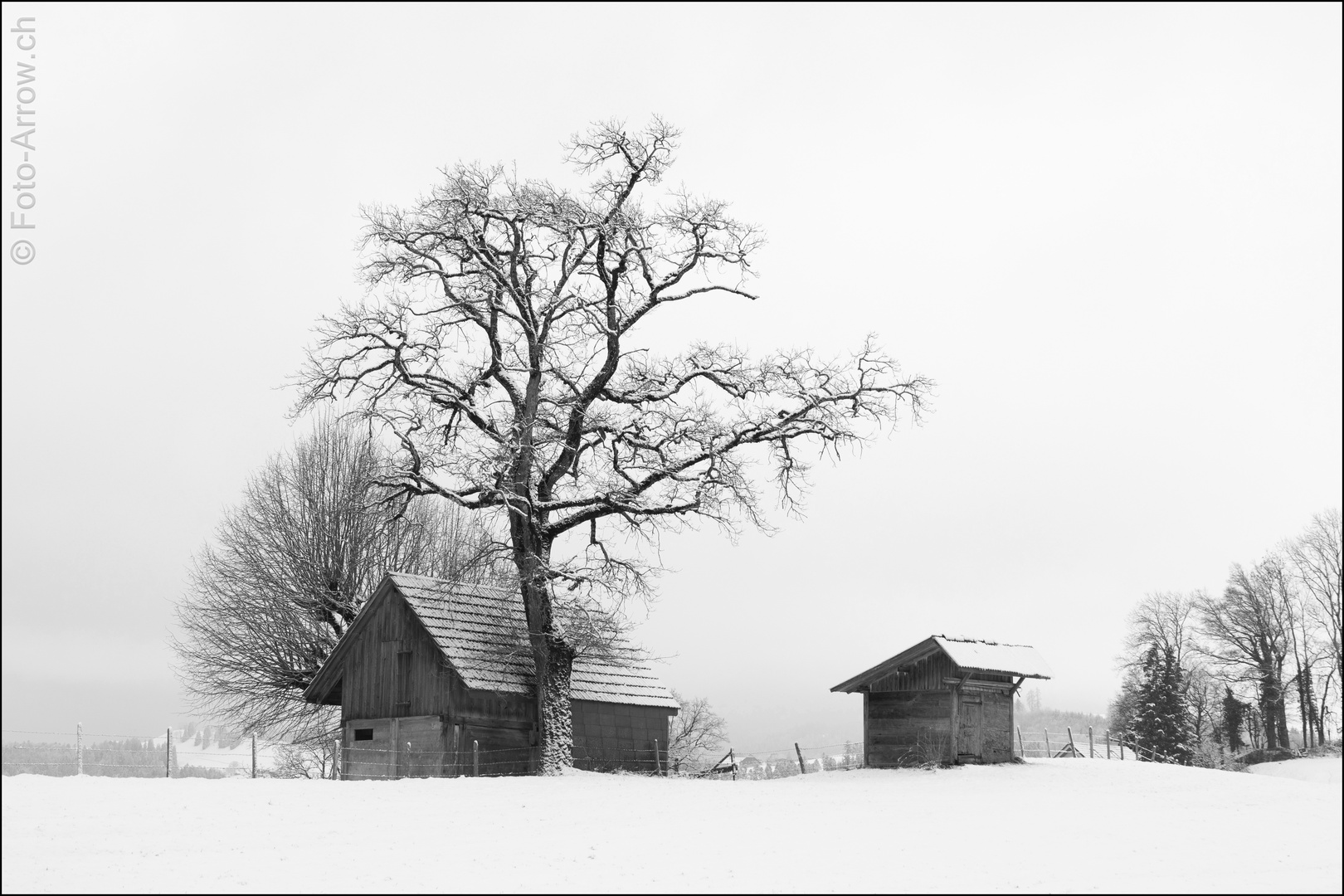 Nebel und Schnee in sw