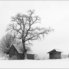 Nebel und Schnee in sw