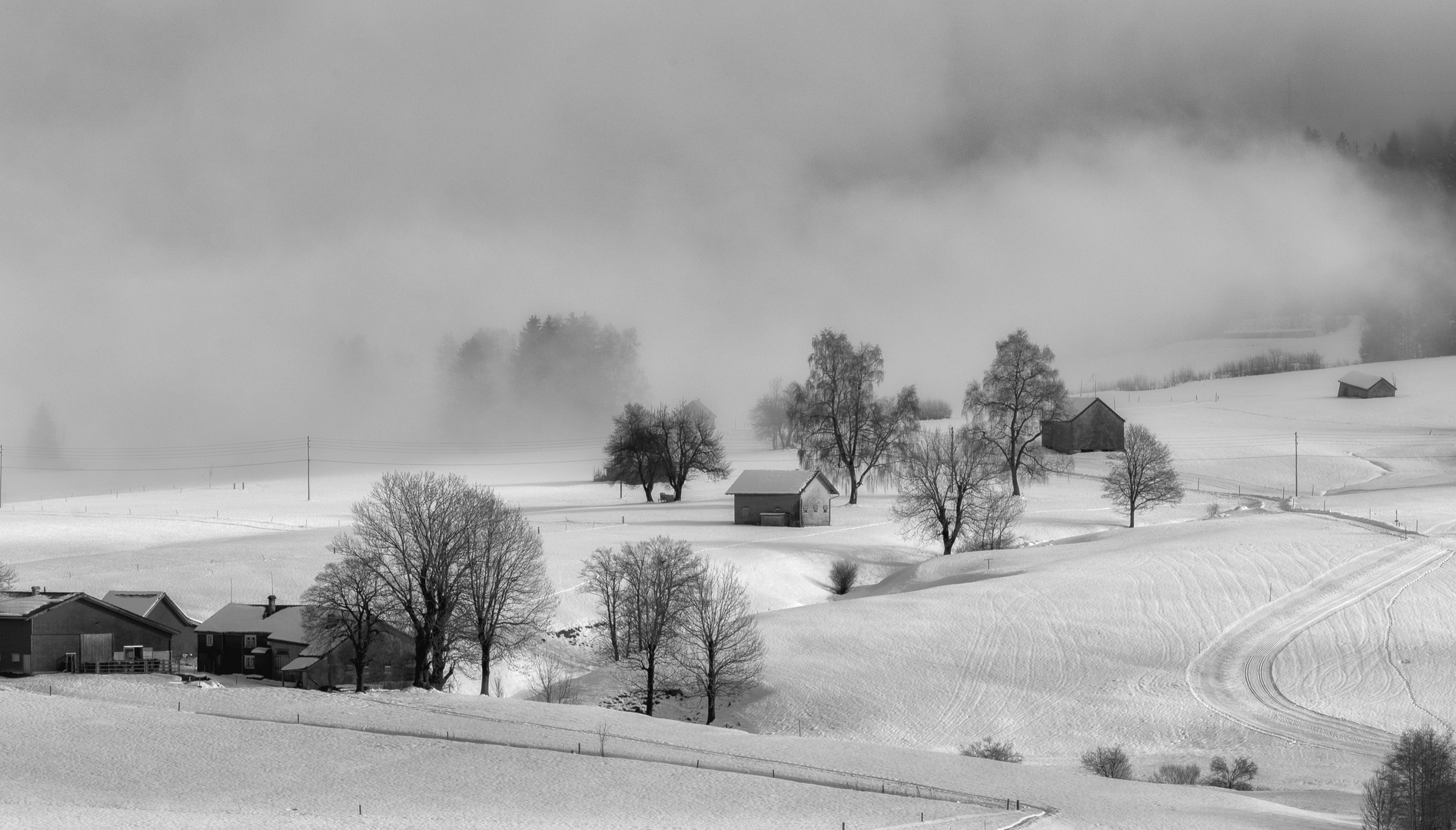 Nebel und Schnee No.1