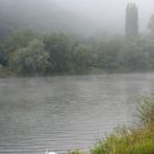 Nebel und Schwan