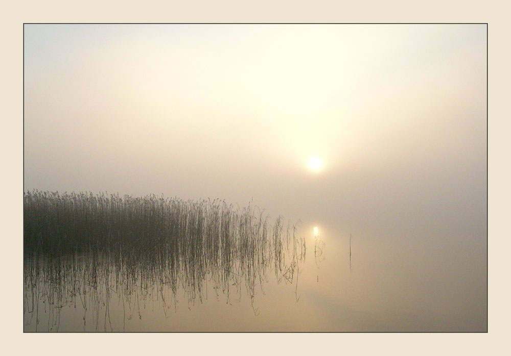 Nebel und Sonne