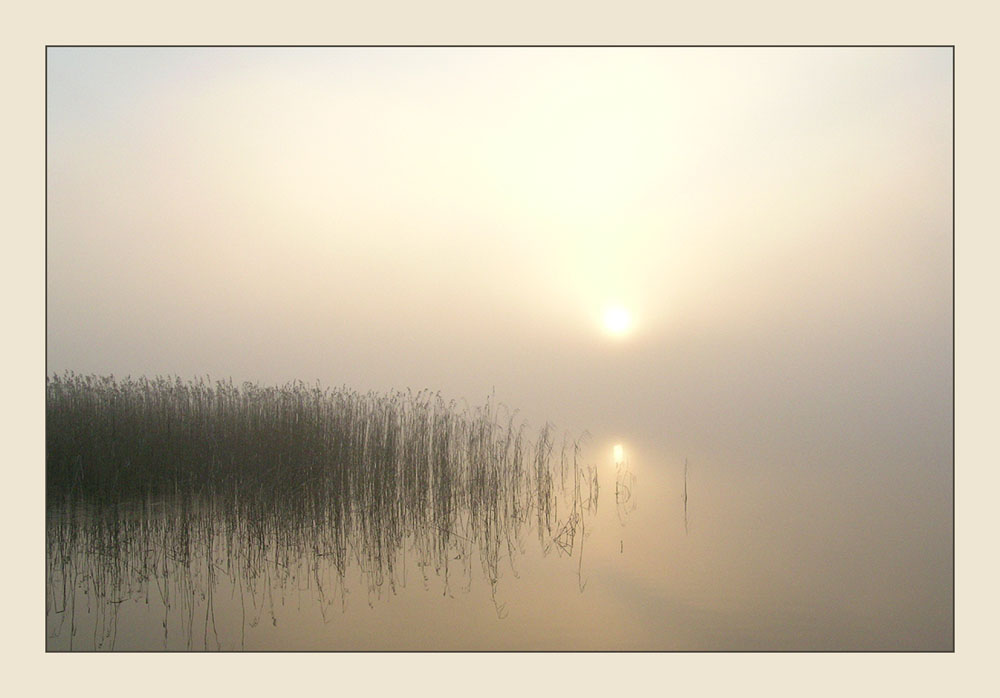 Nebel und Sonne von Franke de Jong