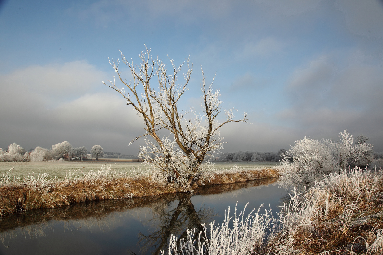 Nebel und Sonne 