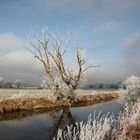 Nebel und Sonne 