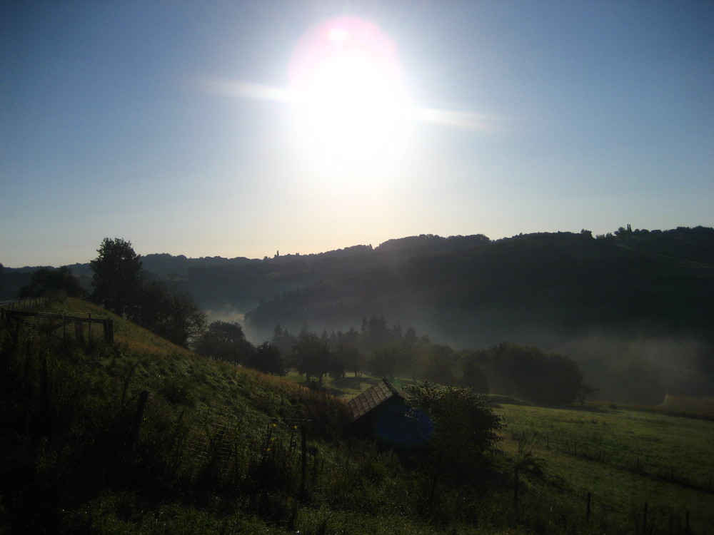 Nebel und Sonne