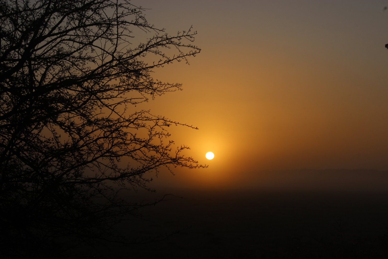 Nebel und Sonne