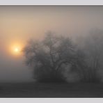 Nebel und Sonne
