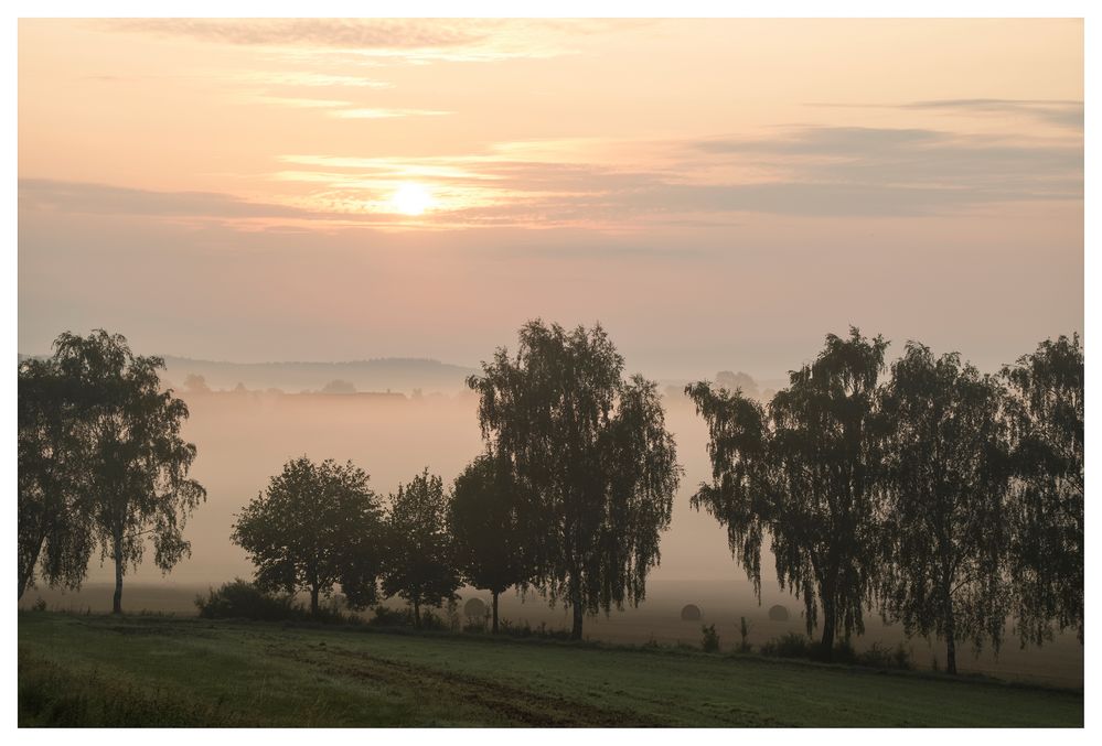 Nebel und Sonne