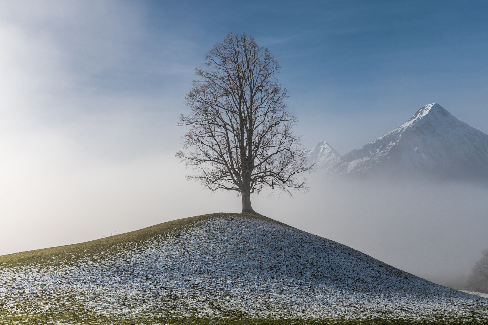 Nebel und Sonne