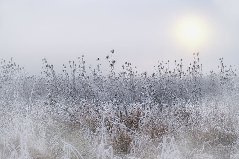 Nebel und Sonne