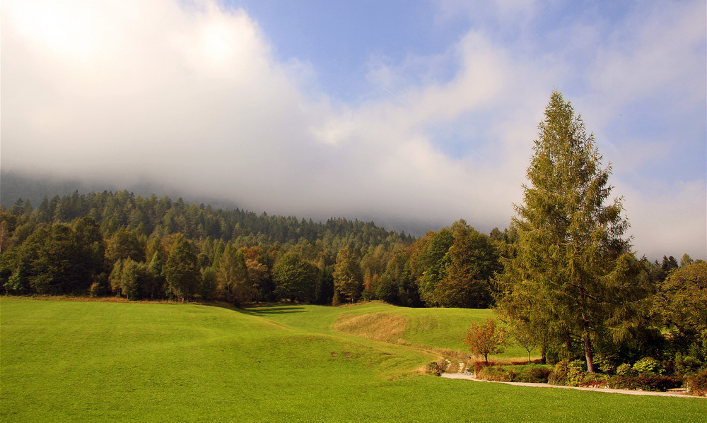 Nebel und Sonne