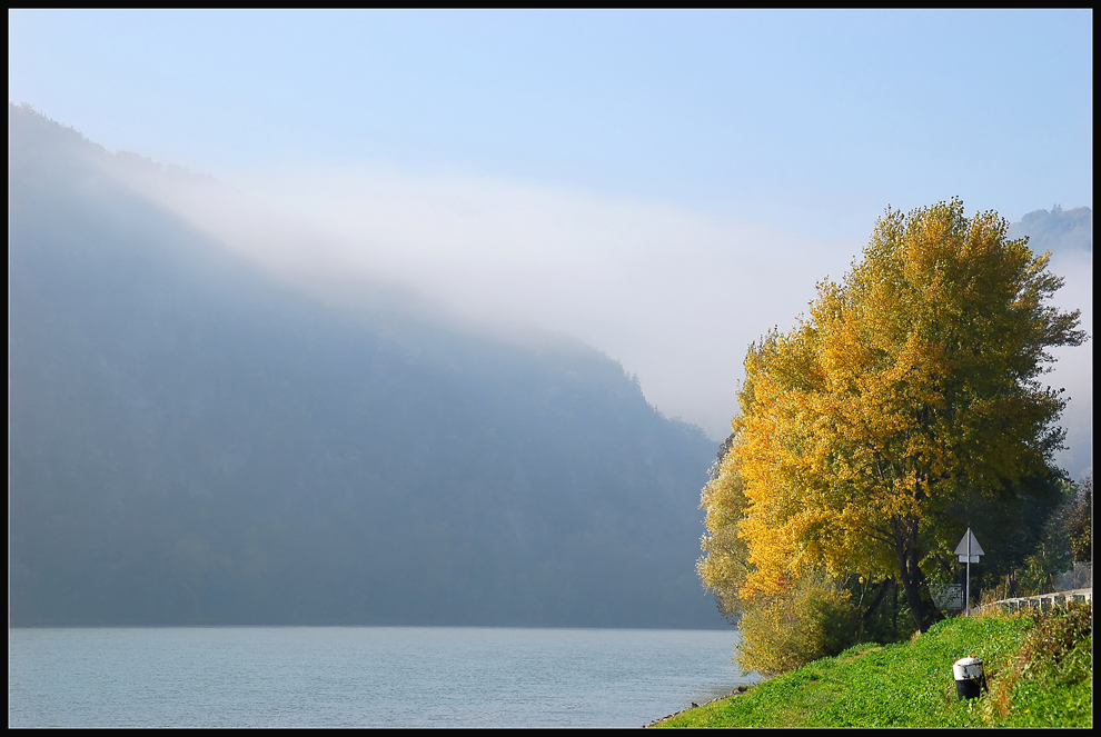 Nebel und Sonne...