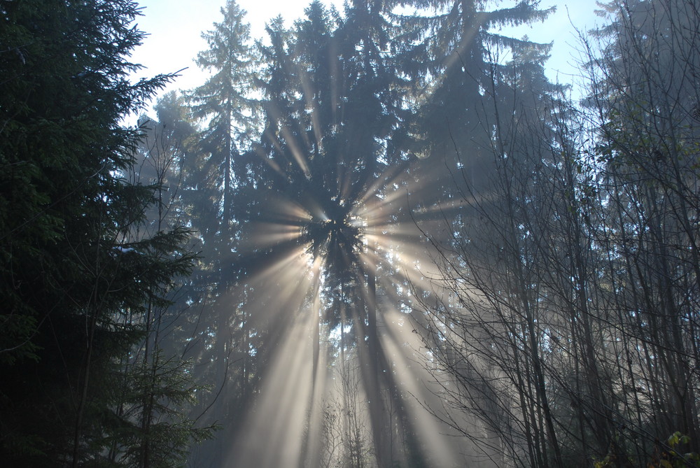 Nebel und Sonne