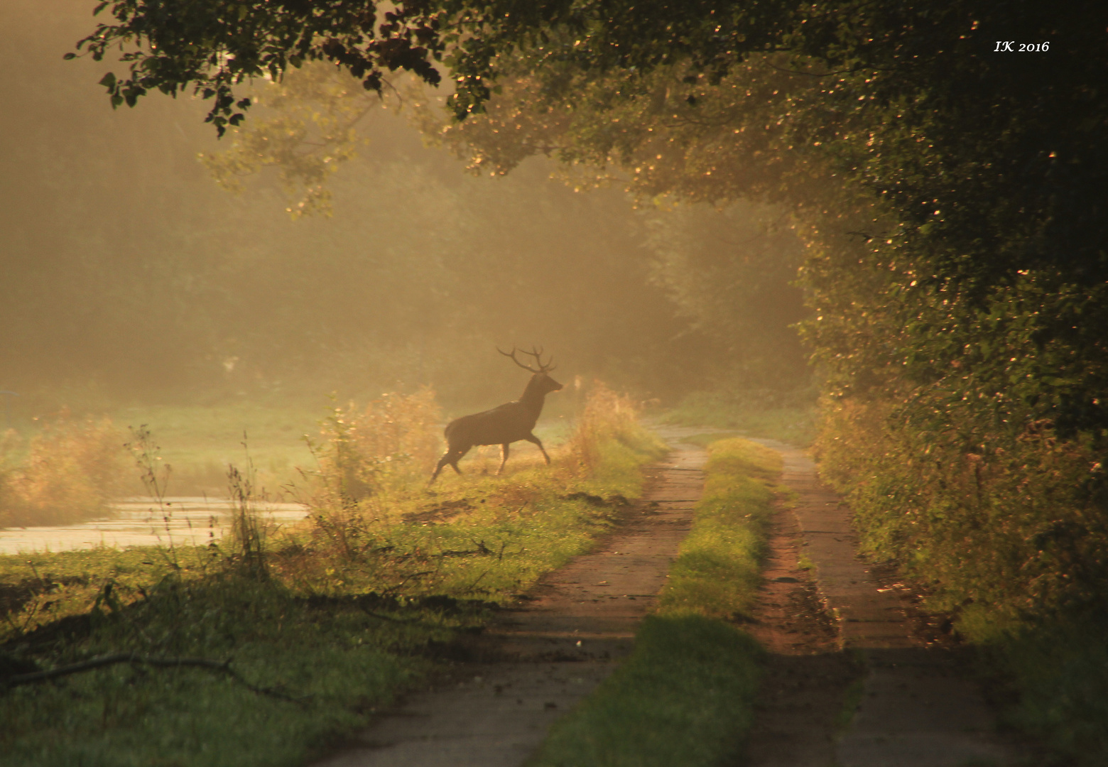 Nebel und Sonne