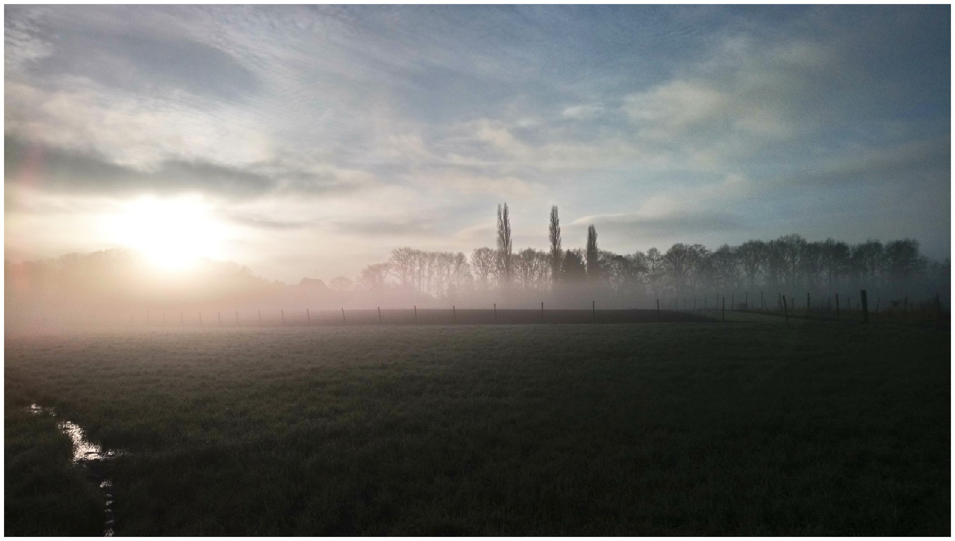 Nebel und Sonne