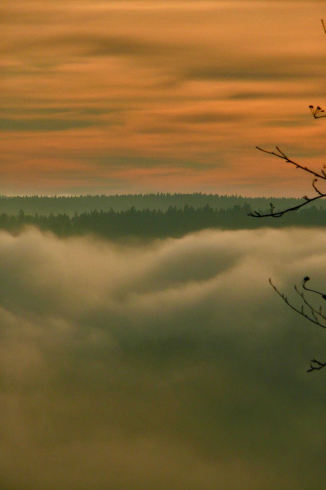 Nebel und Sonne