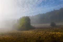 Nebel und Sonne am Morgen