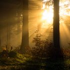 Nebel und Sonne am Rennsteig im Thüringer Wald