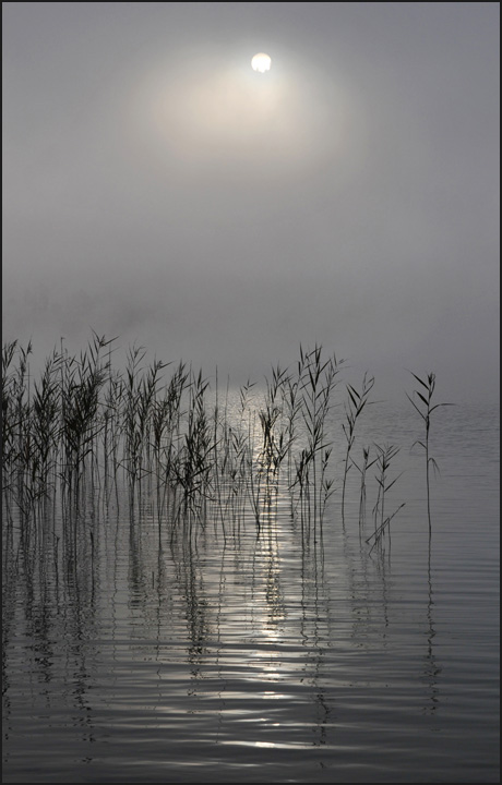 Nebel und Sonne