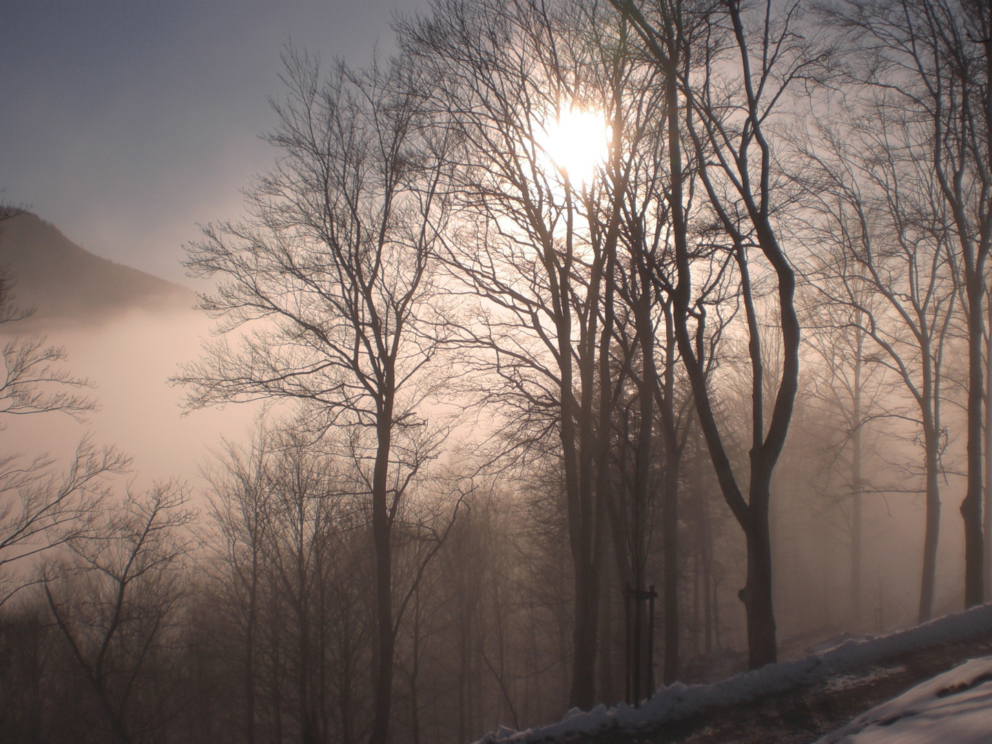 Nebel und Sonne