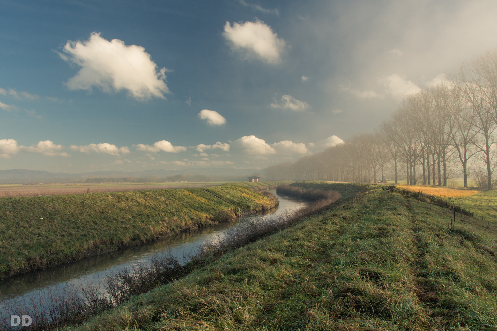 Nebel und Sonne