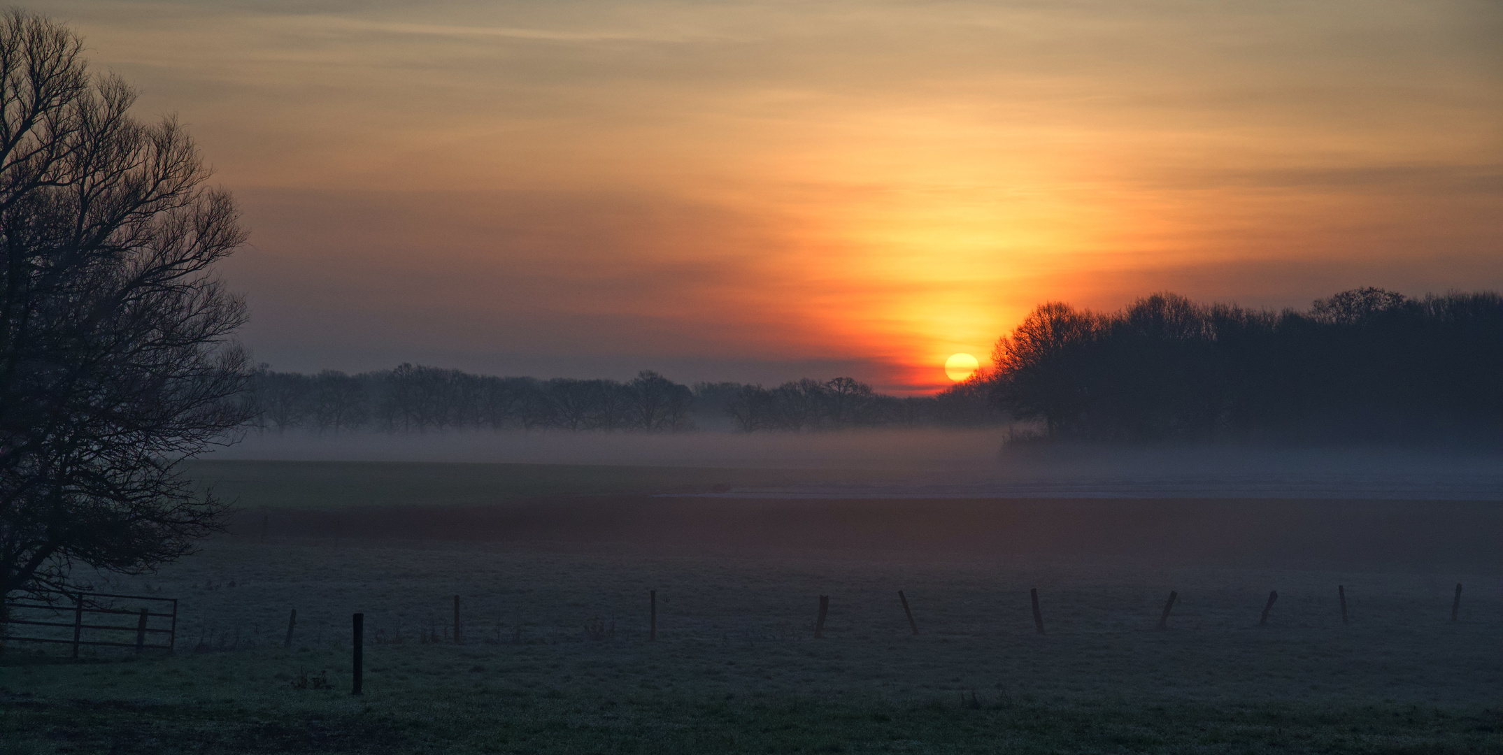 Nebel und Sonne