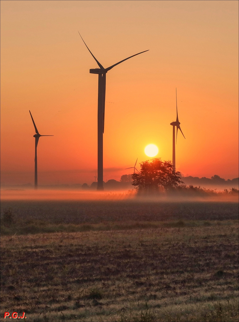 Nebel und Sonne - eine optisch feine Kombination!