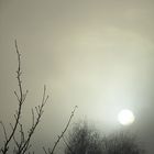 Nebel und Sonne