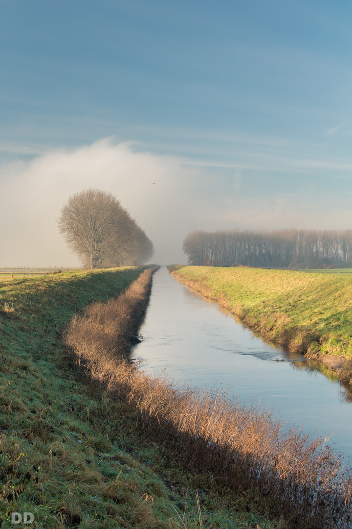 Nebel und Sonne II