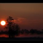 Nebel und Sonne im Isartal