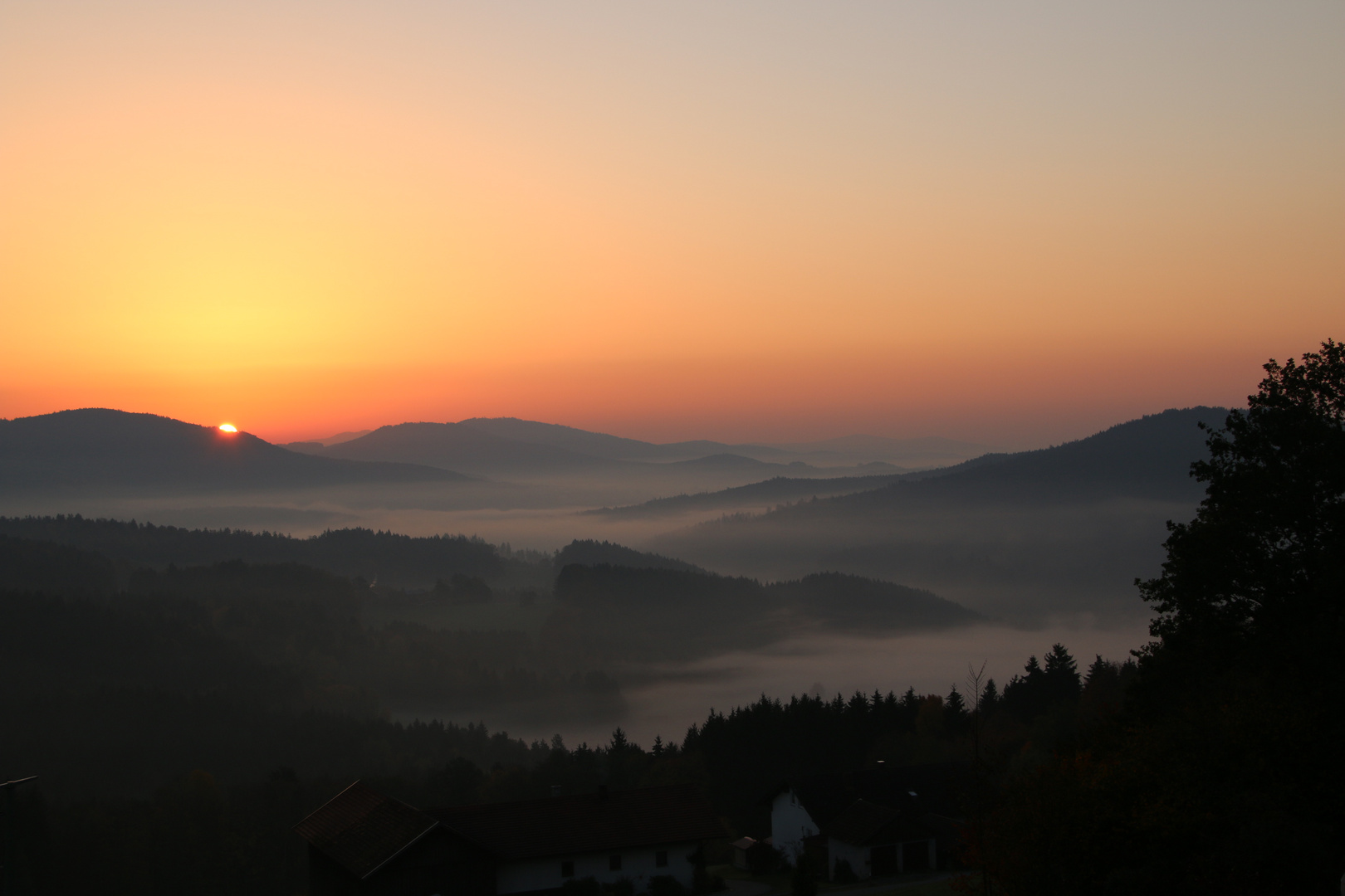 Nebel und Sonnenaufgang