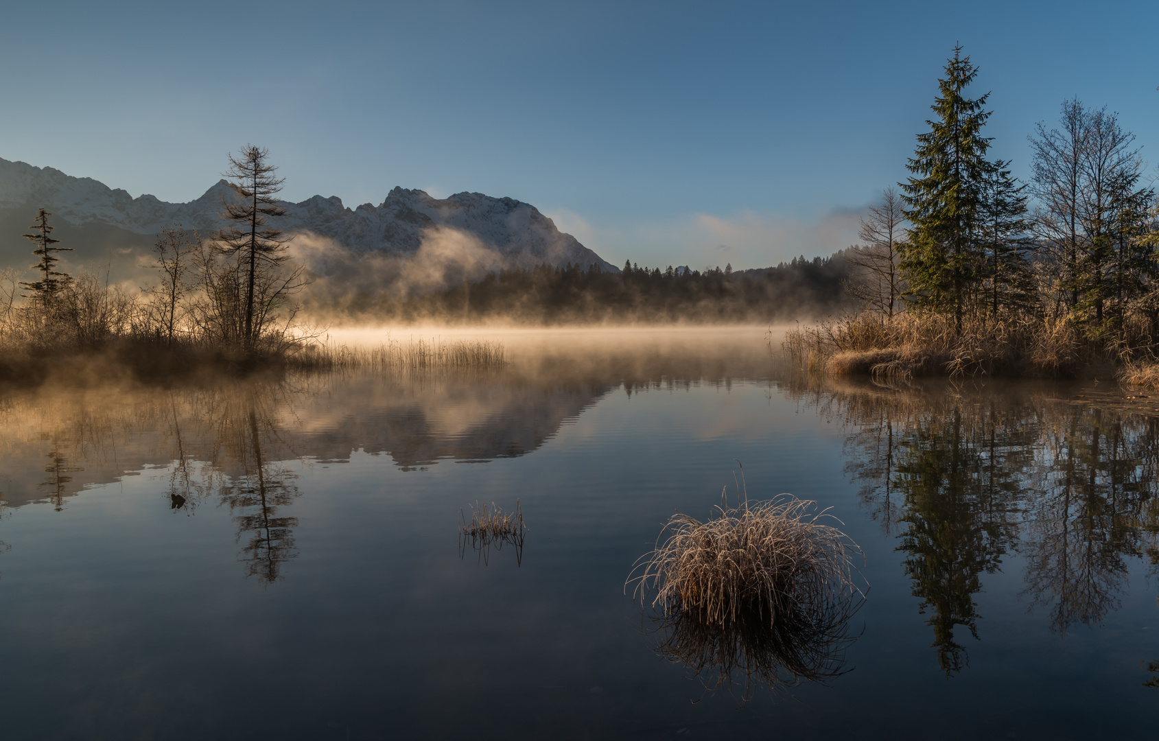 Nebel und Sonnenlicht