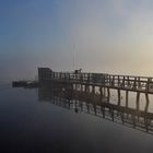 Nebel- und Sonnenstimmung am Federsee