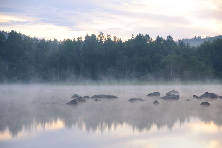 Nebel und Steine am See