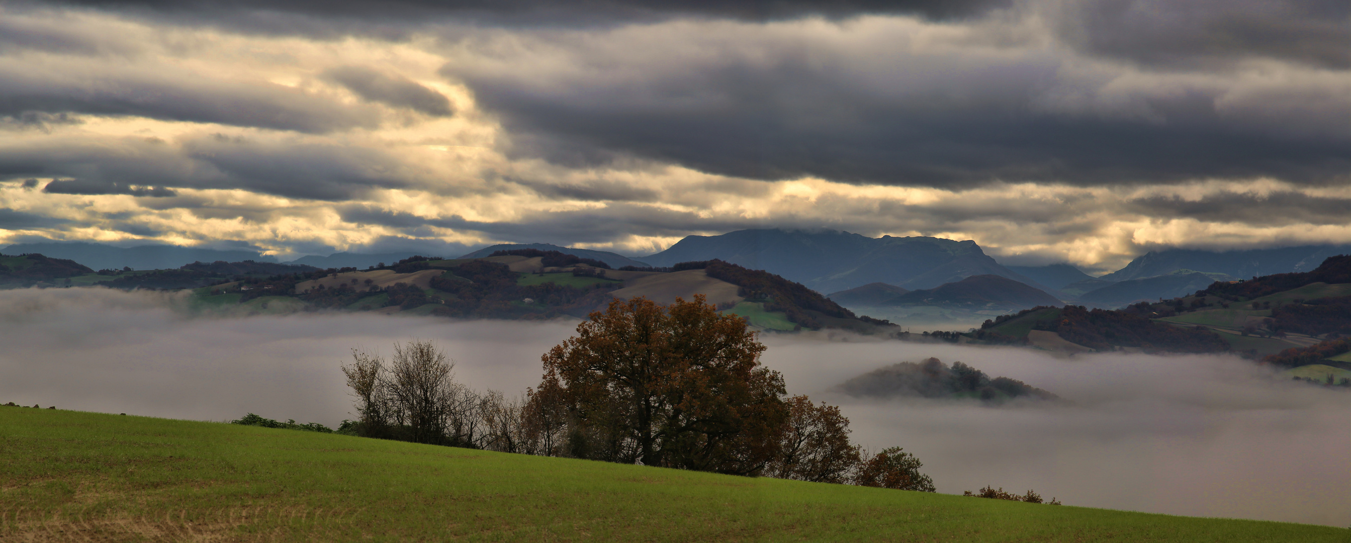 Nebel und Wolken an Weihnachten