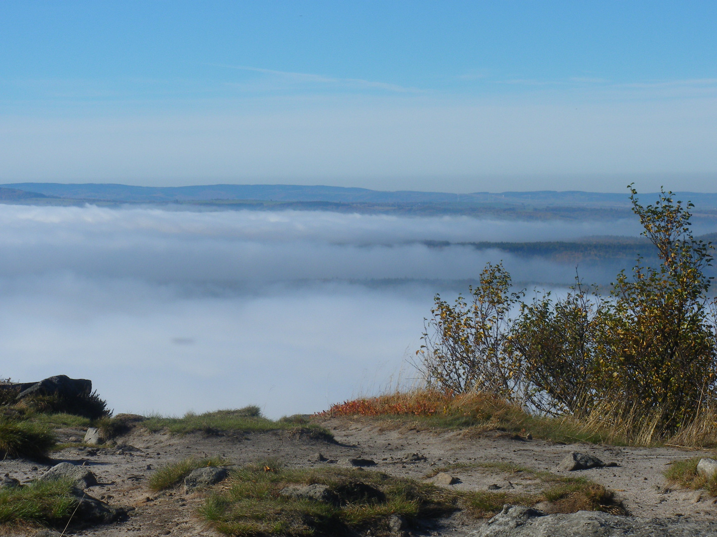 Nebel unter dem Schneeberg